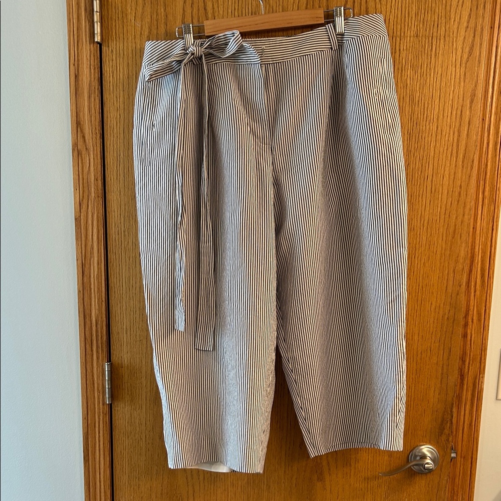 Talbots Navy and White Striped Pants